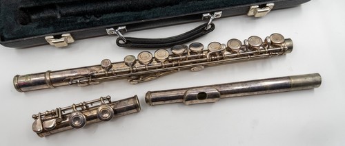 Yamaha 225sii flute case - 225sii,
