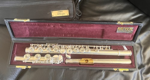 Yamaha allegro 471 open - 471,