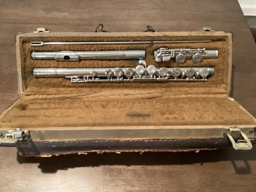 Yamaha yfl 24n - in, case