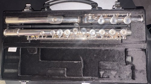 Intermediate flute performance - intermediate,
